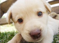 /album/fotogaleria-uvodna-stranka/image4-jpg/